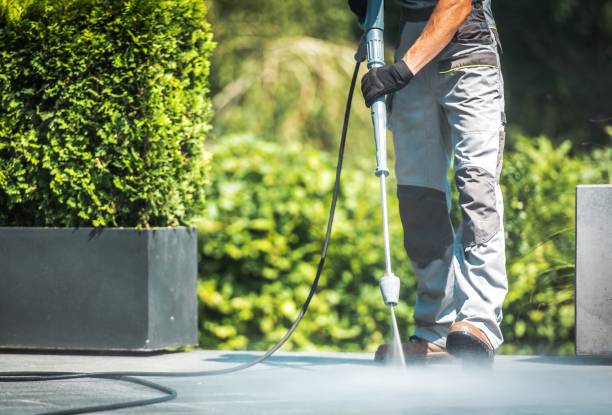 Best Animal Enclosure Cleaning  in Rocky River, OH